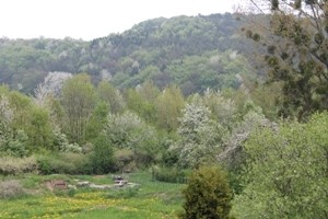 photo/D-53894-2 (17).JPG